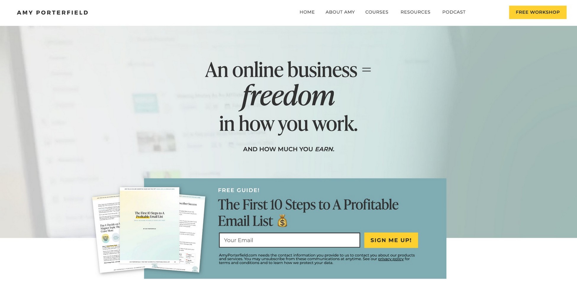 Amy Porterfield: Online Marketing Educator